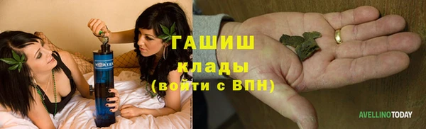 ПСИЛОЦИБИНОВЫЕ ГРИБЫ Белокуриха